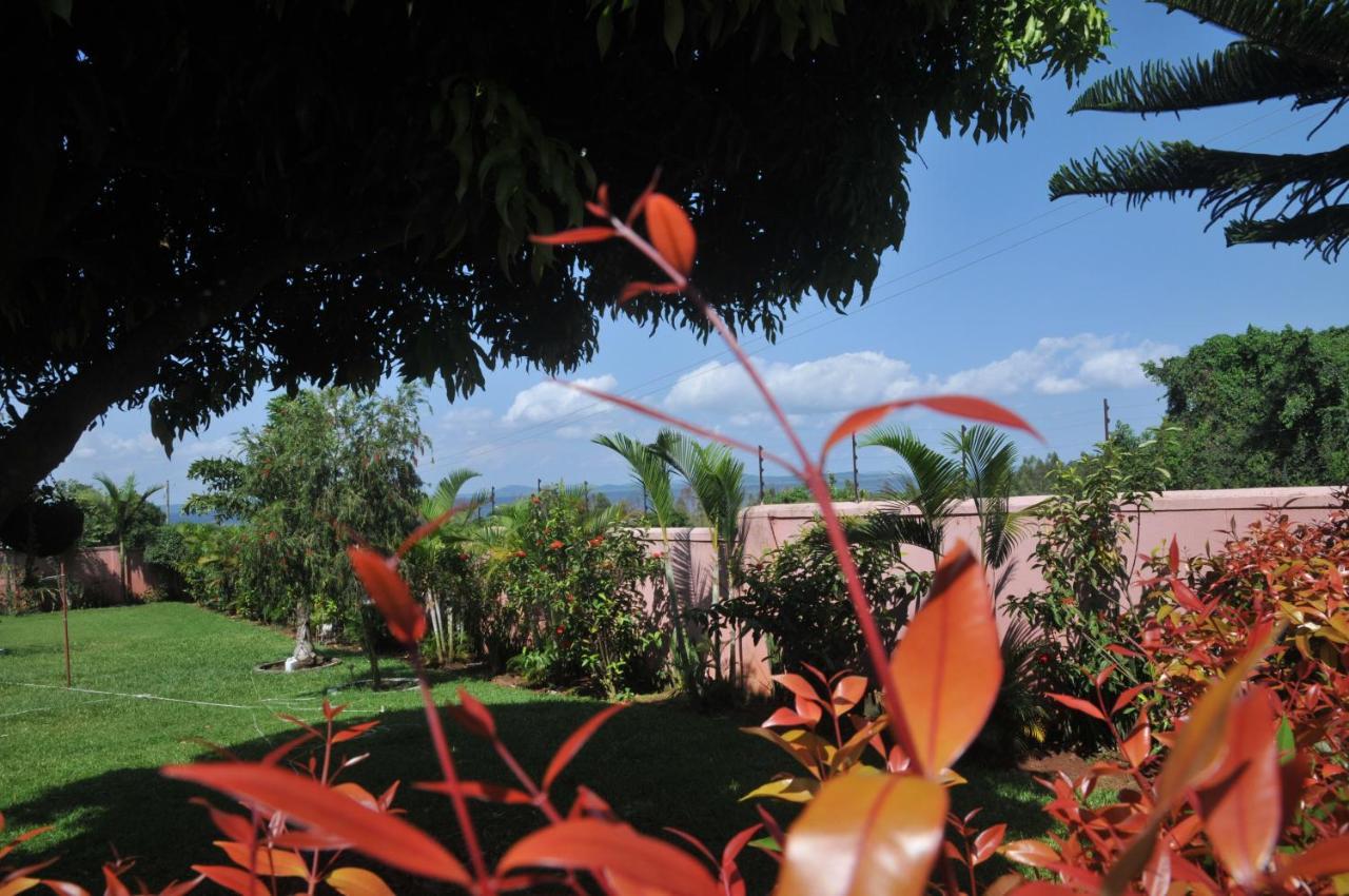 Victoria Lake View Guesthouse & Safaris Entebbe Buitenkant foto