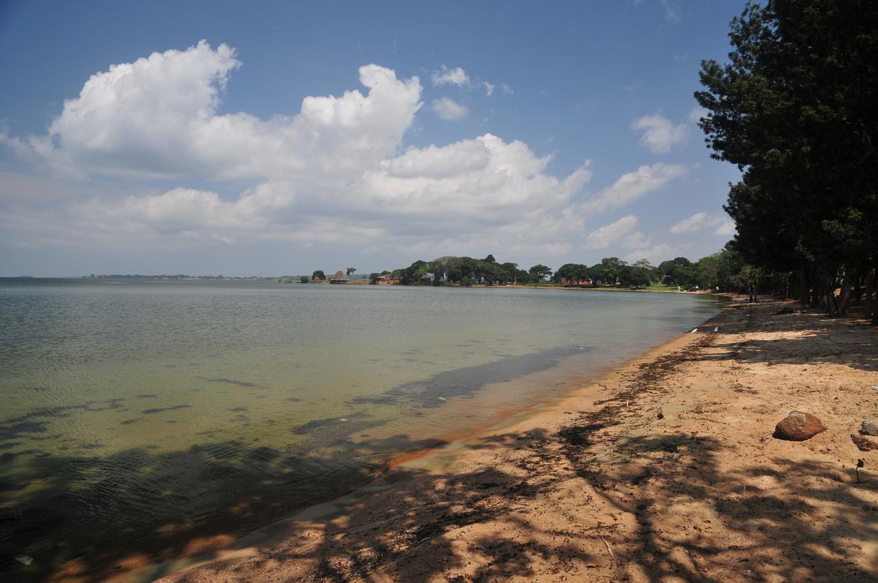 Victoria Lake View Guesthouse & Safaris Entebbe Buitenkant foto