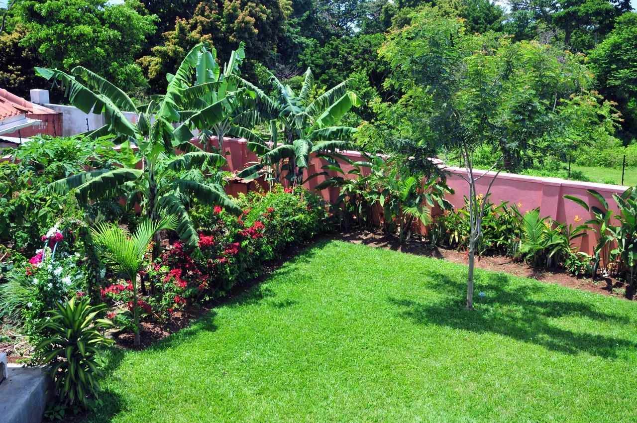 Victoria Lake View Guesthouse & Safaris Entebbe Buitenkant foto