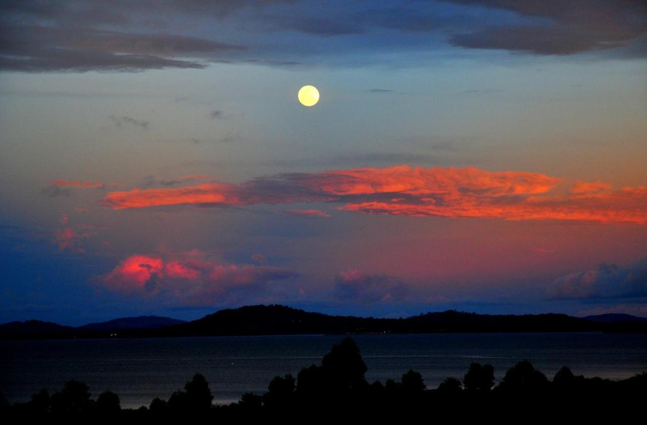 Victoria Lake View Guesthouse & Safaris Entebbe Buitenkant foto